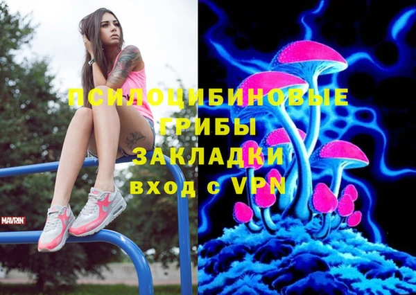 PSILOCYBIN Лихославль