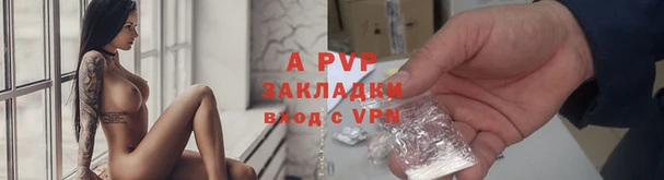 PSILOCYBIN Лихославль