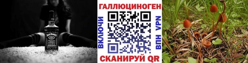 Псилоцибиновые грибы Psilocybe  Купить  Славгород 